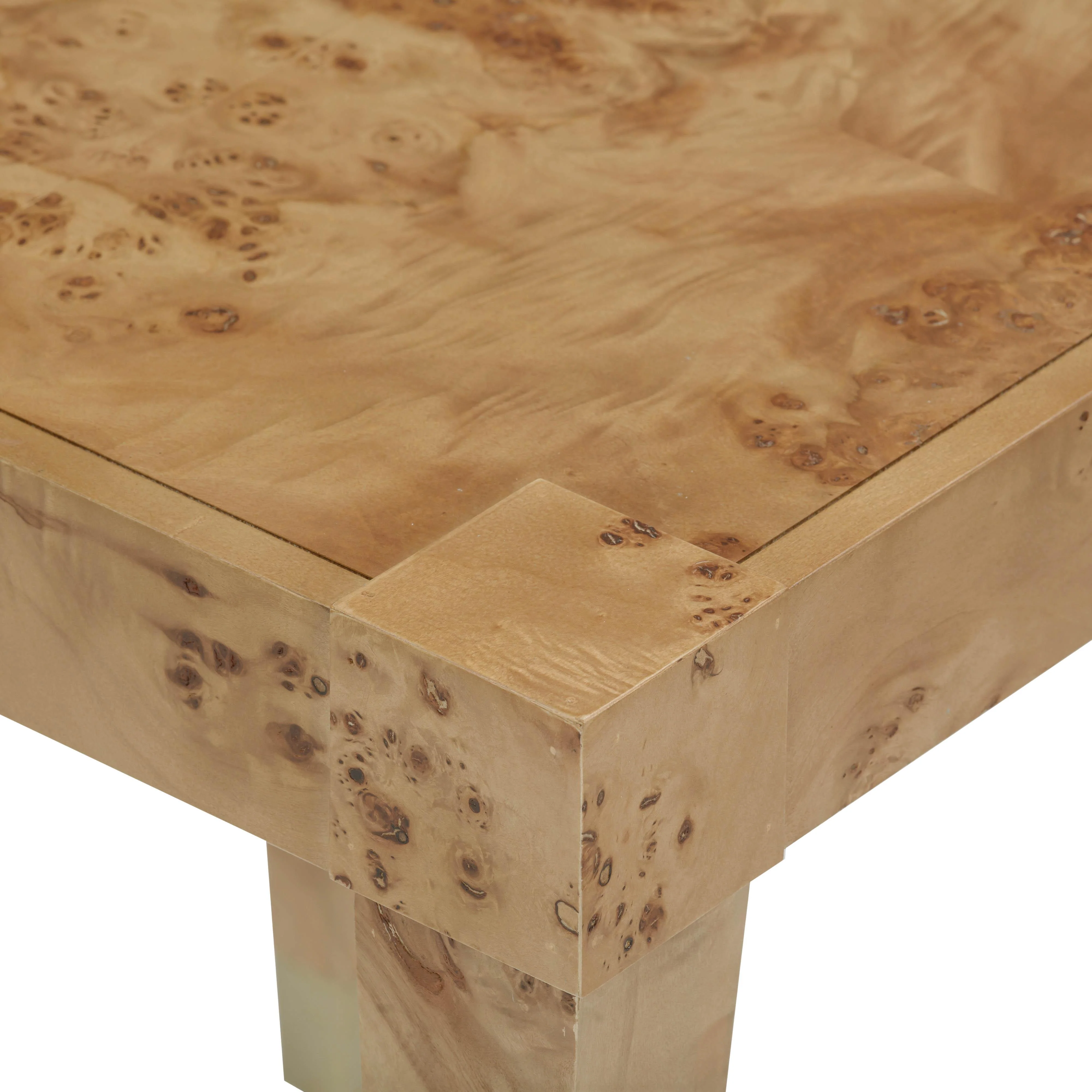 Brandyss Burl End Table - Image 15