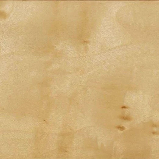 Brandyss 26" Burl 2-Drawer Nightstand - Image 10