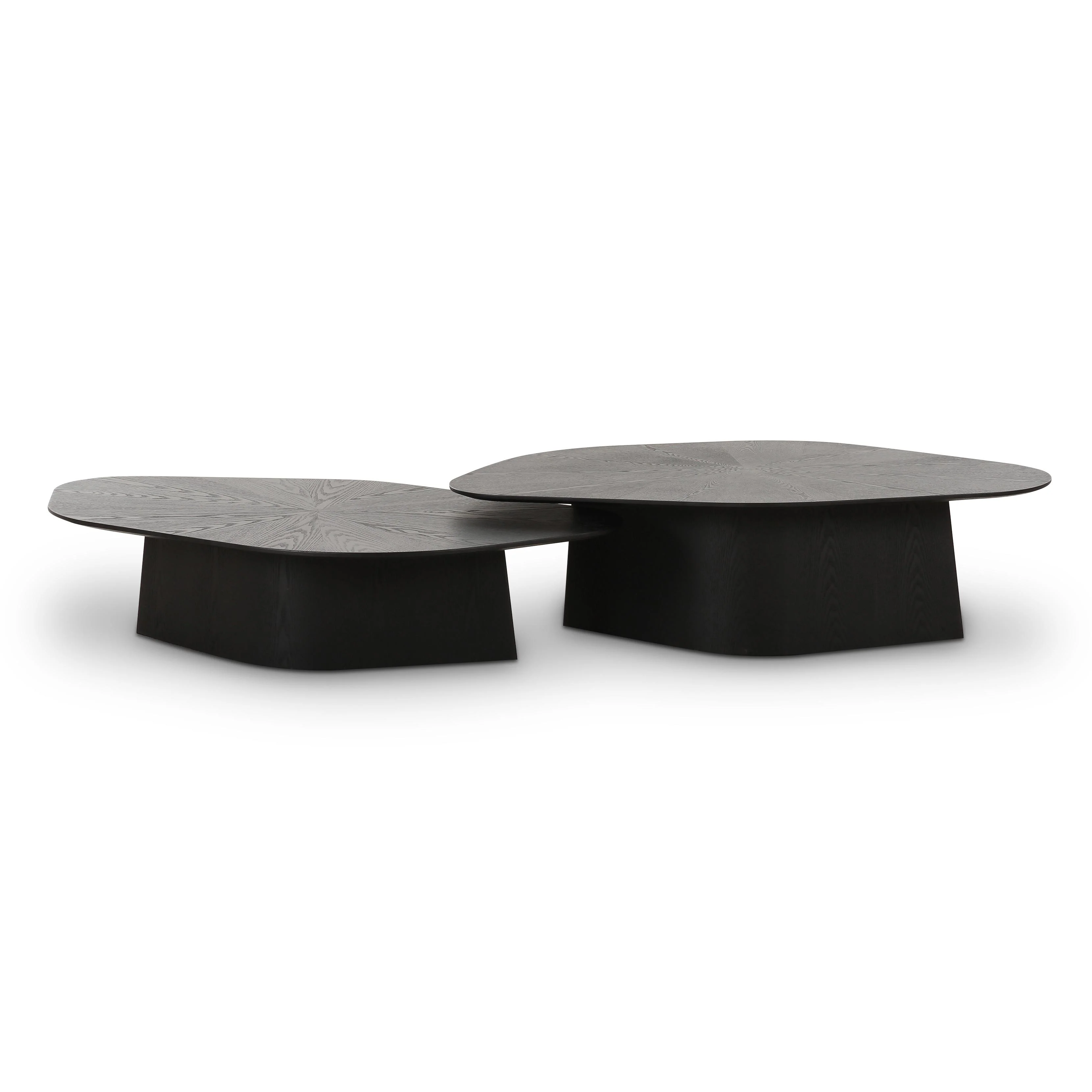 Roche 2-Piece Ash Nesting Coffee Table Set - Image 3