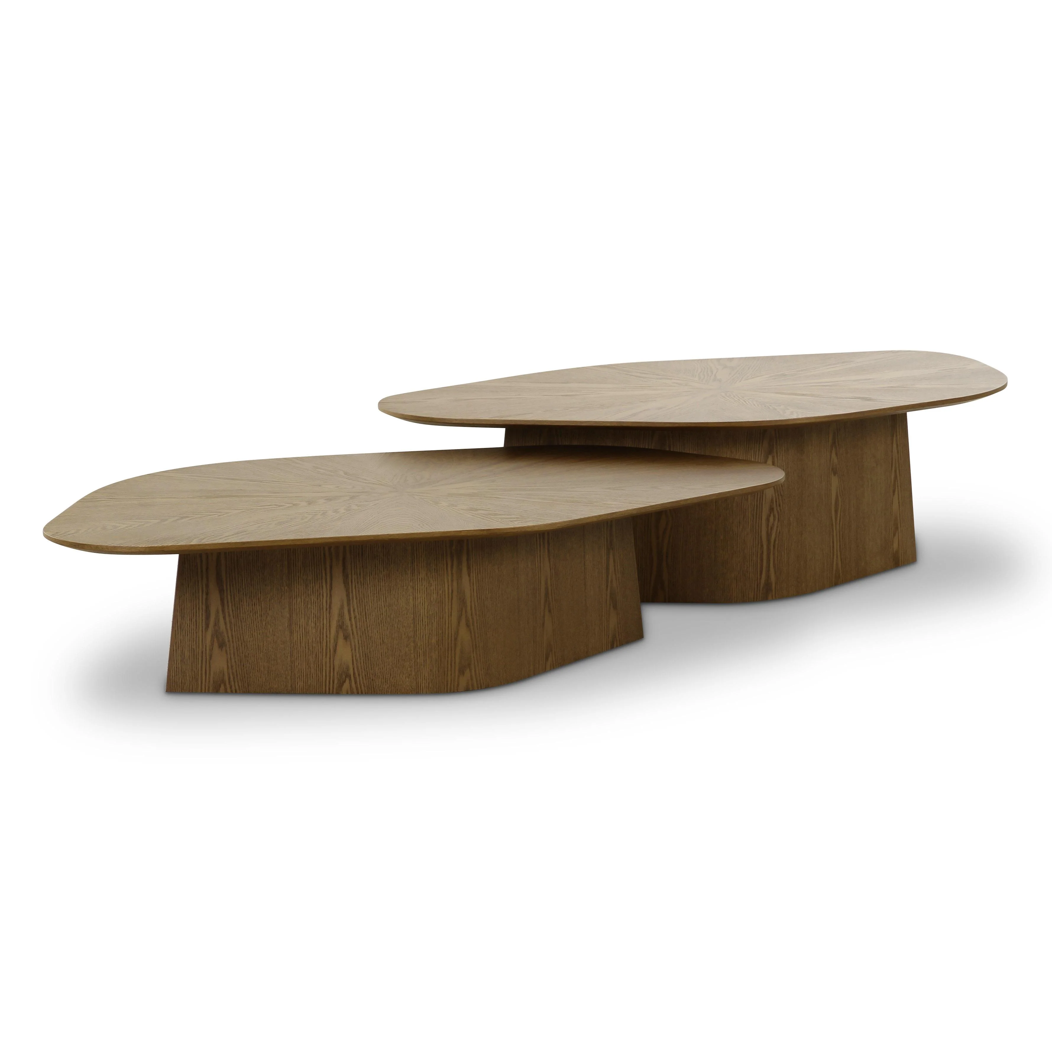 Roche 2-Piece Ash Nesting Coffee Table Set - Image 8
